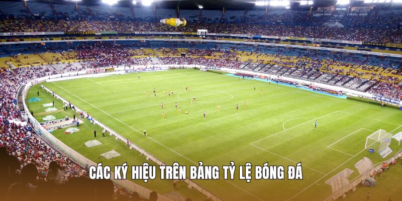Các ký hiệu trên bảng tỷ lệ bóng đá