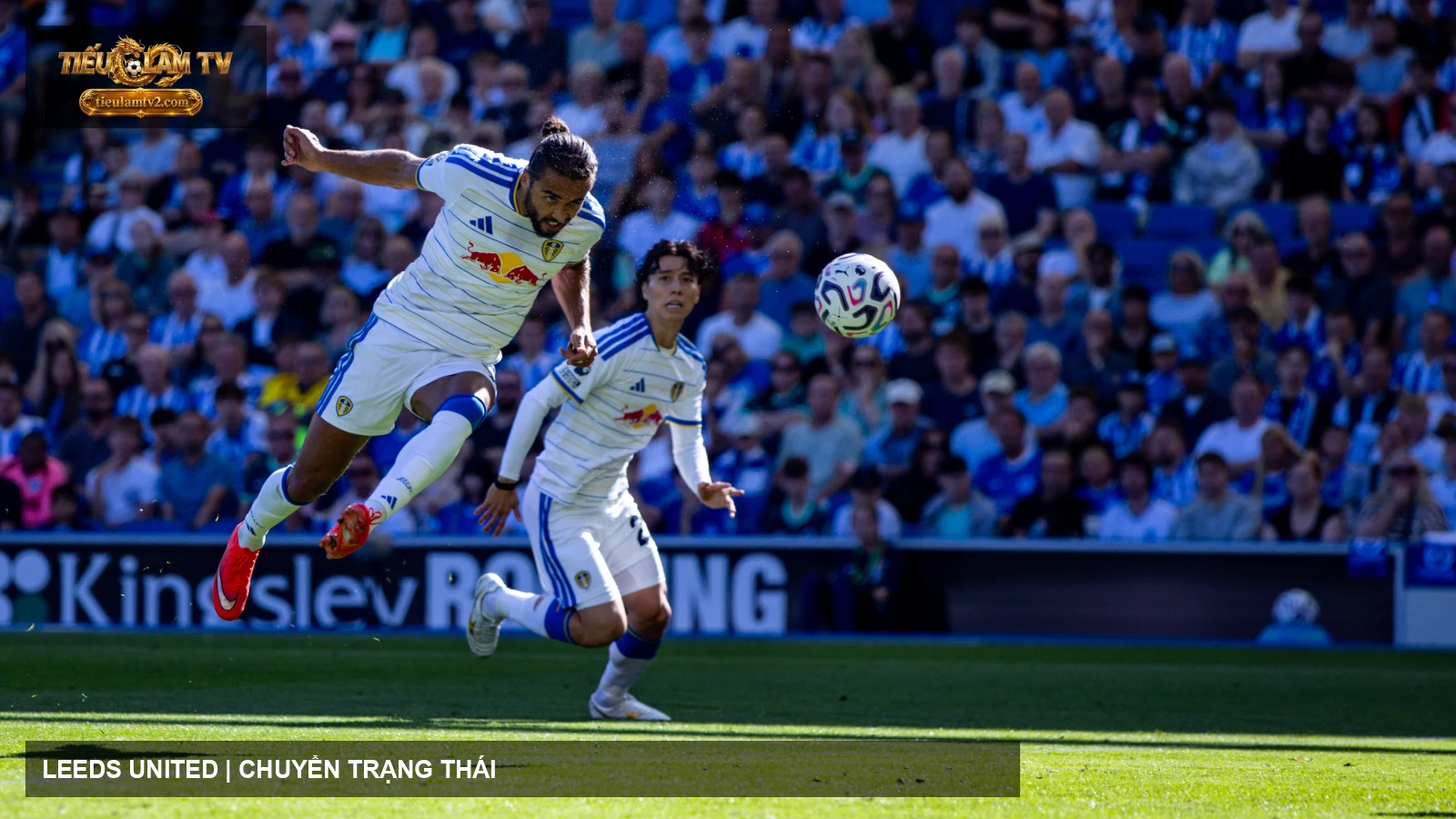 Leeds United lên bóng trong ảnh tư liệu